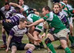 _nz80340-avec_accentuation-bruit.jpg - JPEG - 226.7 ko - 1024×726 px