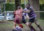 _nz81566-avec_accentuation-bruit.jpg - JPEG - 216.6 ko - 1024×729 px