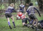 04022024-_nz87534-avec_accentuation-bruit.jpg - JPEG - 872.3 ko - 1024×737 px