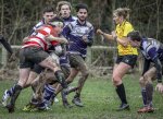 04022024-_nz87450-avec_accentuation-bruit.jpg - JPEG - 815.2 ko - 1024×740 px