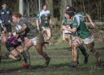 17022024-_nz88665-avec_accentuation-bruit.jpg - JPEG - 247.7 ko - 1024×744 px