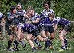 29102023-_nz84830-avec_accentuation-bruit.jpg - JPEG - 331.4 ko - 1024×744 px
