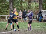 29102023-z62_9362-avec_accentuation-bruit.jpg - JPEG - 467.9 ko - 1024×754 px