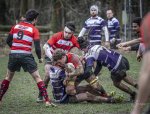 04022024-_nz87422-avec_accentuation-bruit.jpg - JPEG - 840.6 ko - 1024×776 px