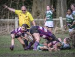 17022024-_nz88610-avec_accentuation-bruit.jpg - JPEG - 281.6 ko - 1024×785 px