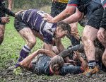 29102023-_nz85100-avec_accentuation-bruit.jpg - JPEG - 398.1 ko - 1024×790 px
