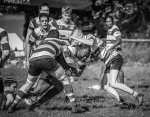 10092023-_nz82244.jpg - JPEG - 236.4 ko - 1024×793 px