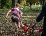 14102023-_nz84000-avec_accentuation-bruit.jpg - JPEG - 321.1 ko - 1024×793 px