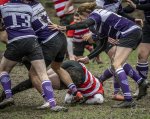 04022024-_nz87265-avec_accentuation-bruit.jpg - JPEG - 915.6 ko - 1024×810 px