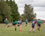 seniors_binche_vs_nivelles_rugbybinche_2025-33.jpg - JPEG - 500.6 ko - 2000×1600 px