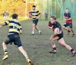 gp5f6398.jpg - JPEG - 587.3 ko - 2000×1703 px