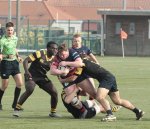 gp5f0934.jpg - JPEG - 442.9 ko - 2000×1715 px