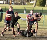 gp5f7287.jpg - JPEG - 643.2 ko - 2000×1716 px