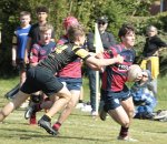 gp5f2738.jpg - JPEG - 496.2 ko - 2000×1723 px