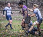 _nz87379.jpg - JPEG - 289.3 ko - 1024×892 px