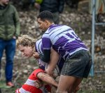 _nz87557-2.jpg - JPEG - 211.5 ko - 1024×899 px