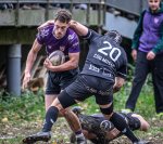 _nz86156.jpg - JPEG - 262.7 ko - 1024×907 px