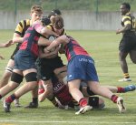 gp5f0862.jpg - JPEG - 483.9 ko - 2000×1817 px