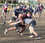 gp5f0244.jpg - JPEG - 807.8 ko - 2000×1913 px