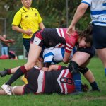 img_0627.jpg - JPEG - 178.1 ko - 2000×1333 px