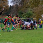 img_3543.jpg - JPEG - 371.9 ko - 2000×1333 px