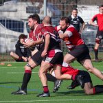 img_4609.jpg - JPEG - 601.9 ko - 2000×2000 px