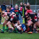 img_4832-2.jpg - JPEG - 550.6 ko - 2000×2000 px