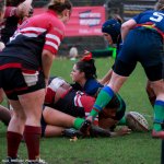 img_4908.jpg - JPEG - 142.4 ko - 1500×1000 px