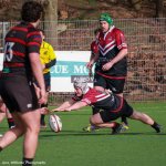 img_4911-2.jpg - JPEG - 607.8 ko - 2000×2000 px