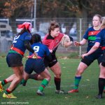 img_4930-2.jpg - JPEG - 529.7 ko - 2000×2000 px