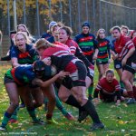 img_4977-3.jpg - JPEG - 686.5 ko - 2000×2000 px