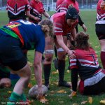 img_5178.jpg - JPEG - 140.5 ko - 1500×1000 px