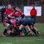 img_5191-3.jpg - JPEG - 565.5 ko - 2000×1999 px