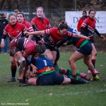 img_5195.jpg - JPEG - 154.4 ko - 2000×1333 px