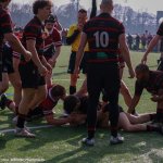 img_5222.jpg - JPEG - 232.5 ko - 2000×1333 px