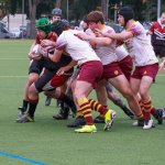 img_9201_1_.jpg - JPEG - 681.1 ko - 2000×2000 px