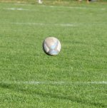 dsc_4045-5.jpg - JPEG - 565.8 ko - 2000×1325 px