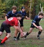 dsc_3721-3.jpg - JPEG - 663.6 ko - 2000×1325 px