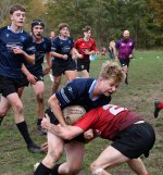 dsc_3804-3.jpg - JPEG - 129 ko - 2000×1325 px