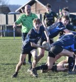 dsc_4919-3.jpg - JPEG - 437.2 ko - 2000×1325 px