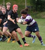 dsc_1923-3.jpg - JPEG - 120.3 ko - 2000×1333 px