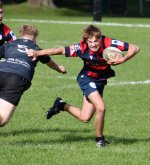 dsc_3199-2.jpg - JPEG - 122.9 ko - 2000×1325 px