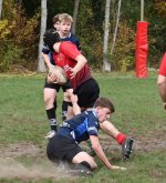 dsc_3748.jpg - JPEG - 182 ko - 2000×1325 px