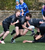 dsc_1487-2.jpg - JPEG - 132.8 ko - 2000×1325 px