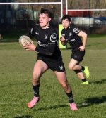 dsc_0211-4.jpg - JPEG - 388.1 ko - 2000×1250 px