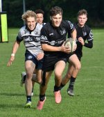 dsc_3551-2.jpg - JPEG - 294 ko - 2000×1325 px