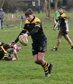 dsc_2486-3.jpg - JPEG - 355.6 ko - 2000×1325 px