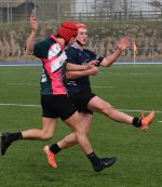 dsc_0775-5.jpg - JPEG - 148.7 ko - 2000×1335 px