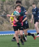 dsc_0740-4.jpg - JPEG - 296.1 ko - 2000×1334 px