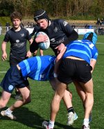 dsc_1422.jpg - JPEG - 251.1 ko - 2000×1328 px